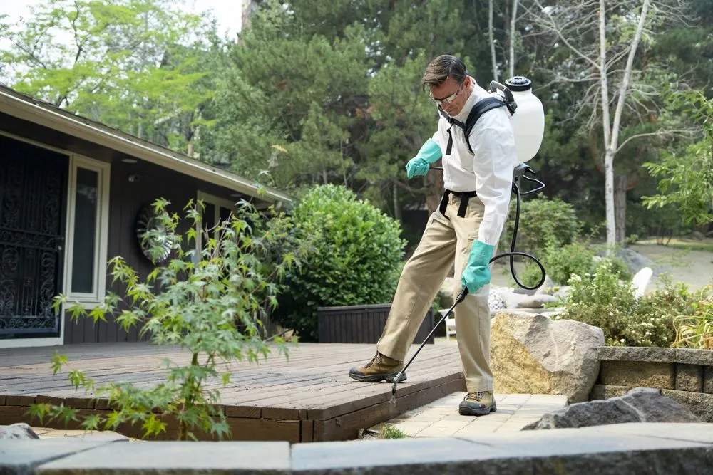 Pest control technician applying an exterior perimeter treatment along a New Bedford deck and foundation