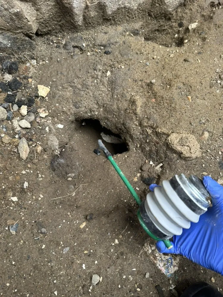Gloved technician treating an open rat burrow in soil at the base of a wall
